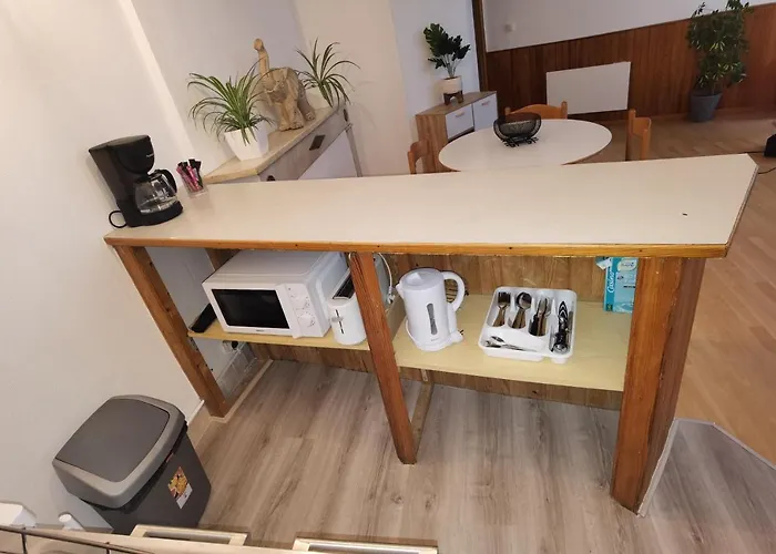 T2 Meuble Quartier Chateau De Lejlighed